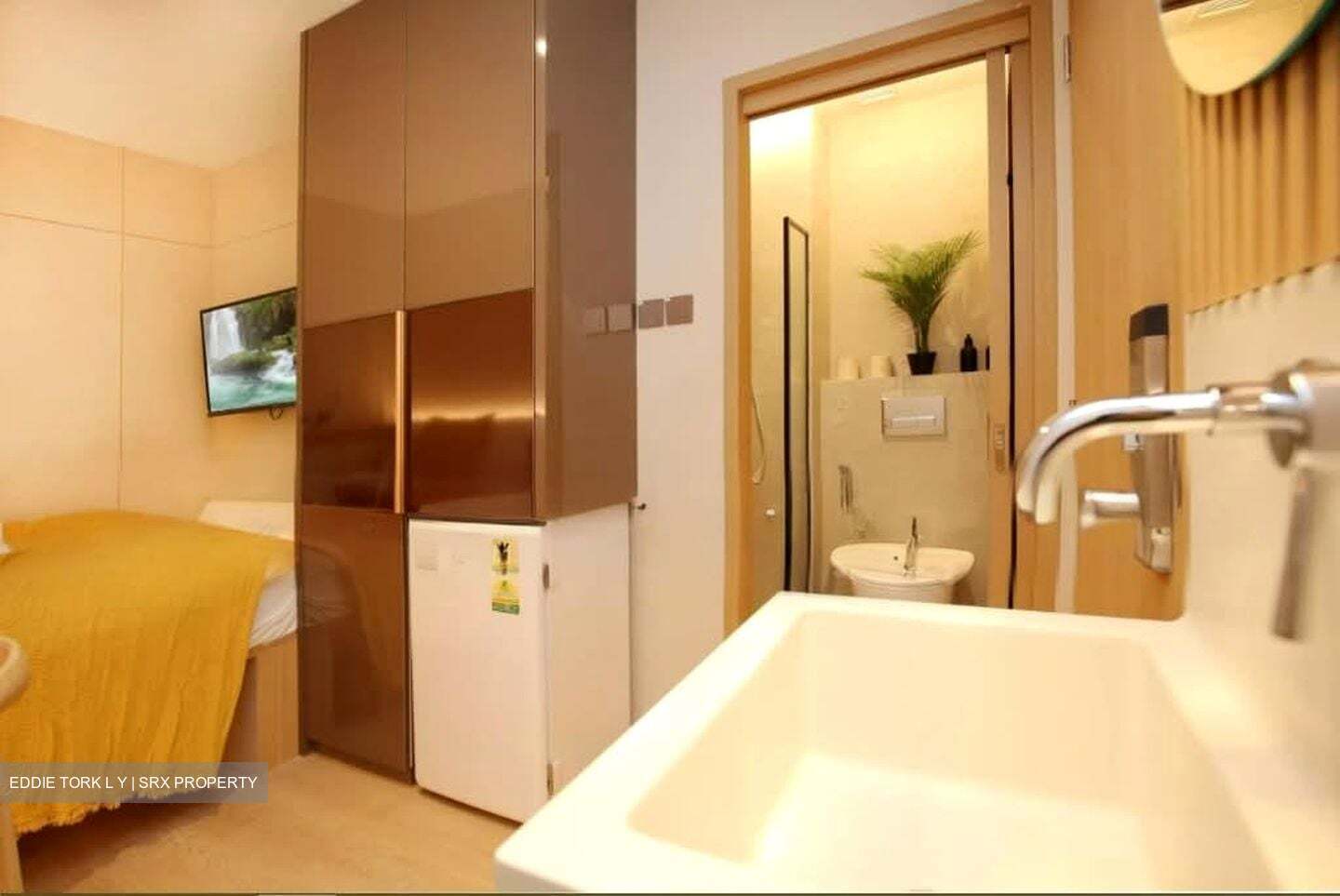 Orchard Road (D9), Apartment #549179741